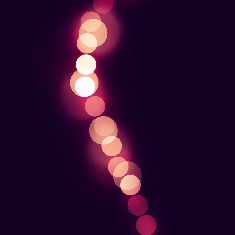 Meet your Posher, Serafina